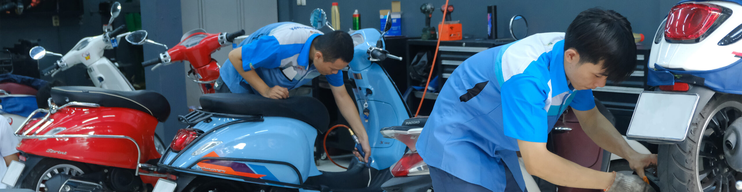 Chính sách bảo hành